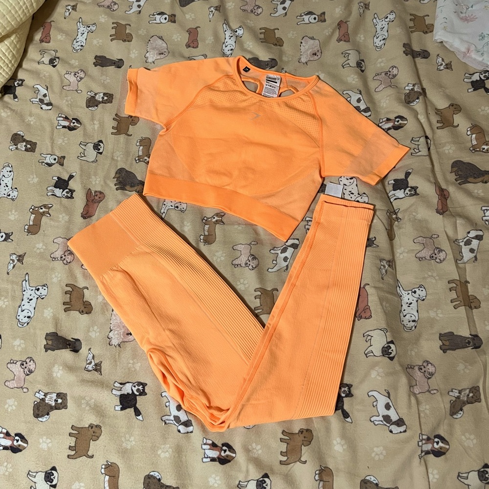 Gymshark Crop and Legging Set